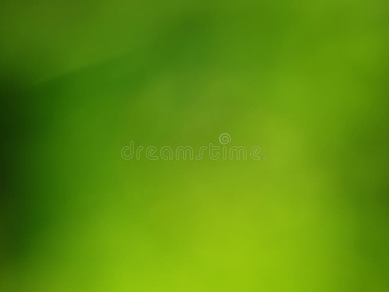 Fondo de la falta de definición de la hierba verde fotos de archivo libres de regalías Fondo de la falta de definición de la hierba verde fotos de archivo libres de regalías