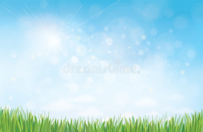 Fondo de la naturaleza del verano del vector ilustración del vector Fondo de la naturaleza del verano del vector ilustración del vector
