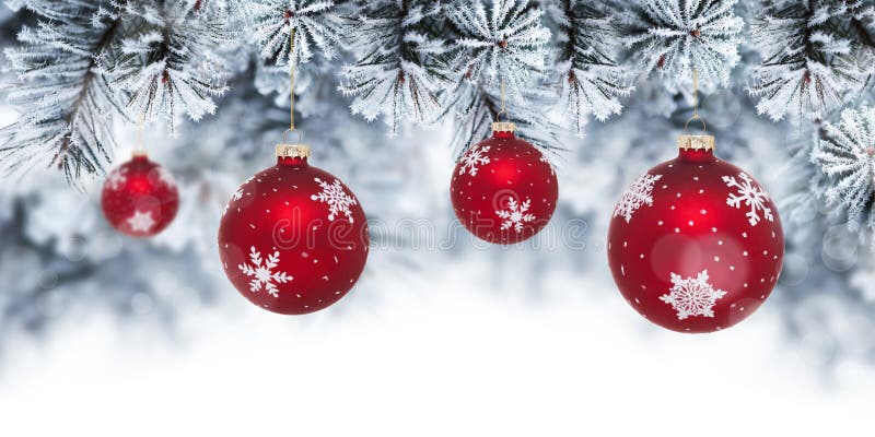 Fondo de la Navidad con las chucherías rojas que cuelgan en árbol de pino fotografía de archivo Fondo de la Navidad con las chucherías rojas que cuelgan en árbol de pino fotografía de archivo