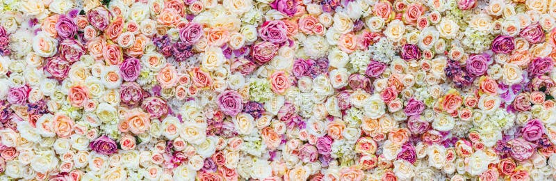 Fondo de la pared de las flores con sorprender las rosas rojas y blancas, casandose la decoración, hecha a mano