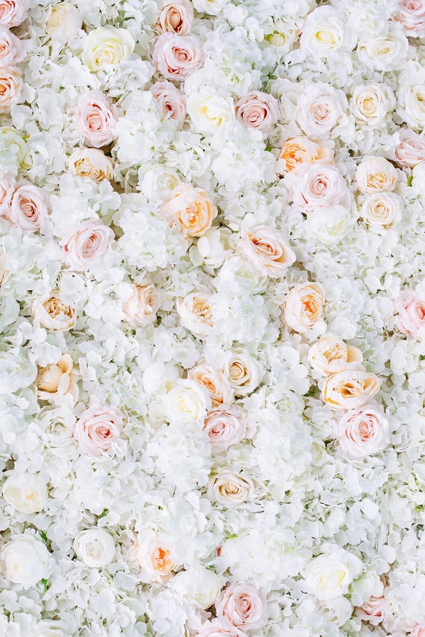 Fondo De La Pared De Las Flores Con Las Rosas Blancas Y Anaranjadas Claras  Imagen de archivo - Imagen de anaranjado, belleza: 150755889