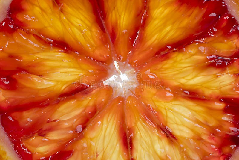 Fondo de la pulpa de la naranja de sangre foto de archivo Fondo de la pulpa de la naranja de sangre foto de archivo