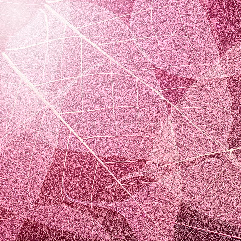 Fondo de la textura de las hojas del rosa Modelo de la decoración del follaje foto de archivo Fondo de la textura de las hojas del rosa Modelo de la decoración del follaje foto de archivo