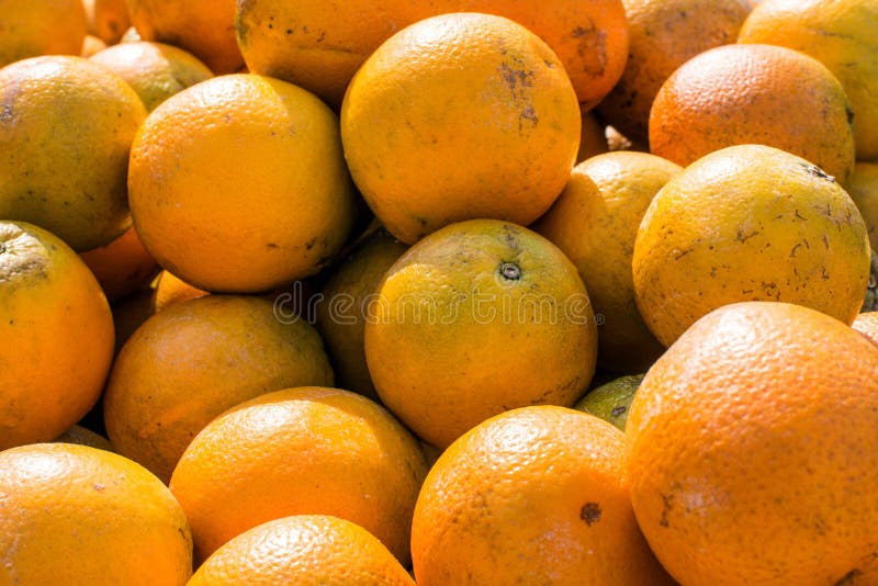 Fondo de las naranjas de la Florida fotografía de archivo libre de regalías Fondo de las naranjas de la Florida fotografía de archivo libre de regalías