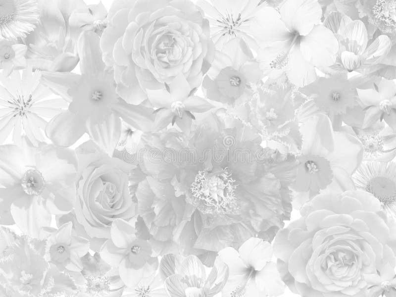 Fondo de luto floral imagen de archivo. Imagen de decorativo - 51046031