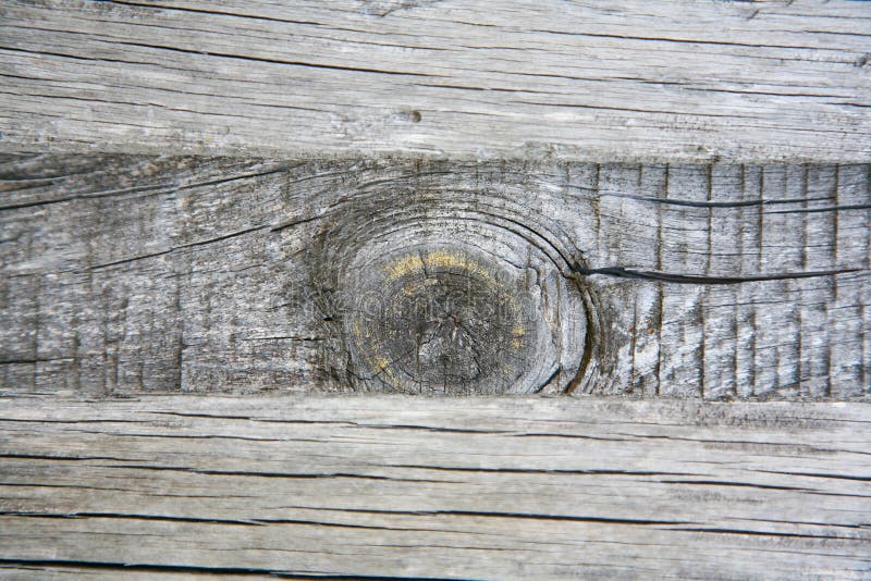 A background texture of a log cabin wall. Wood plank grain texture, wooden board striped old fiber. Wood Texture Background, Wooden Board Grains, Old Floor Striped Planks, Vintage White Timber or Grunge Table. Log cabin background , The side of a log building. Old rich wood grain texture background with knots. Grunge rustic wood wall, vintage background. High details, hd quality. Natural brown barn wood wall. Wall texture background pattern. Wood planks, boards are old with a beautiful rustic look, style. A background texture of a log cabin wall. Wood plank grain texture, wooden board striped old fiber. Wood Texture Background, Wooden Board Grains, Old Floor Striped Planks, Vintage White Timber or Grunge Table. Log cabin background , The side of a log building. Old rich wood grain texture background with knots. Grunge rustic wood wall, vintage background. High details, hd quality. Natural brown barn wood wall. Wall texture background pattern. Wood planks, boards are old with a beautiful rustic look, style.