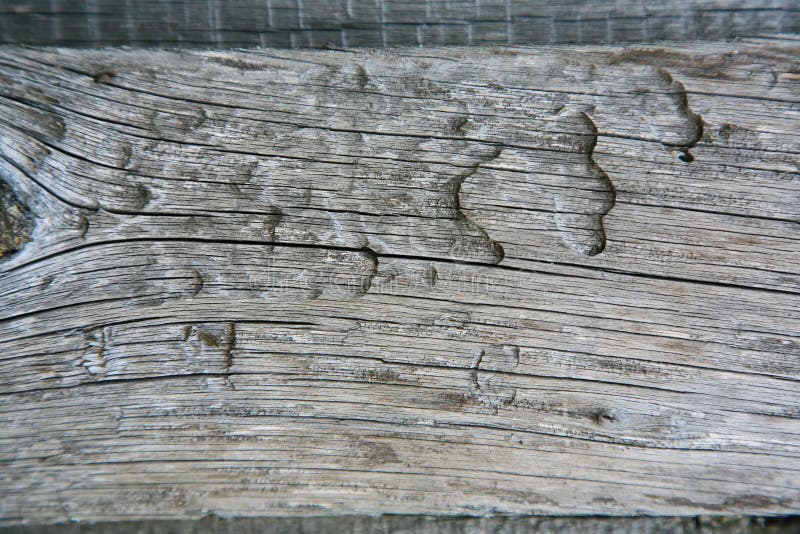 A background texture of a log cabin wall. Wood plank grain texture, wooden board striped old fiber. Wood Texture Background, Wooden Board Grains, Old Floor Striped Planks, Vintage White Timber or Grunge Table. Log cabin background ,The side of a log building. Old rich wood grain texture background with knots. Grunge rustic wood wall, vintage background. High details, hd quality. Natural brown barn wood wall. Wall texture background pattern. Wood planks, boards are old with a beautiful rustic look, style. A background texture of a log cabin wall. Wood plank grain texture, wooden board striped old fiber. Wood Texture Background, Wooden Board Grains, Old Floor Striped Planks, Vintage White Timber or Grunge Table. Log cabin background ,The side of a log building. Old rich wood grain texture background with knots. Grunge rustic wood wall, vintage background. High details, hd quality. Natural brown barn wood wall. Wall texture background pattern. Wood planks, boards are old with a beautiful rustic look, style.