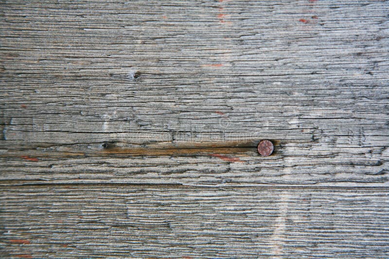 A background texture of a log cabin wall. Wood plank grain texture, wooden board striped old fiber. Wood Texture Background, Wooden Board Grains, Old Floor Striped Planks, Vintage White Timber or Grunge Table. Log cabin background ,The side of a log building. Old rich wood grain texture background with knots. Grunge rustic wood wall, vintage background. High details, hd quality. Natural brown barn wood wall. Wall texture background pattern. Wood planks, boards are old with a beautiful rustic look, style. A background texture of a log cabin wall. Wood plank grain texture, wooden board striped old fiber. Wood Texture Background, Wooden Board Grains, Old Floor Striped Planks, Vintage White Timber or Grunge Table. Log cabin background ,The side of a log building. Old rich wood grain texture background with knots. Grunge rustic wood wall, vintage background. High details, hd quality. Natural brown barn wood wall. Wall texture background pattern. Wood planks, boards are old with a beautiful rustic look, style.