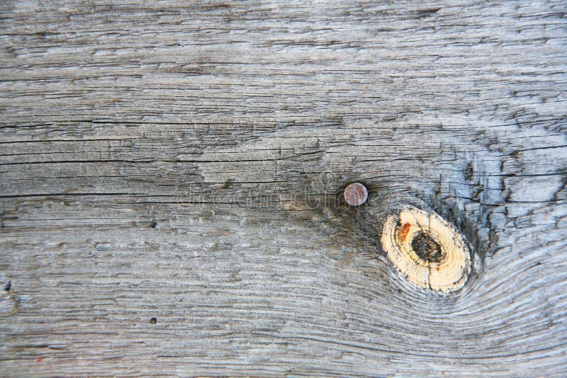 A background texture of a log cabin wall. Wood plank grain texture, wooden board striped old fiber. Wood Texture Background, Wooden Board Grains, Old Floor Striped Planks, Vintage White Timber or Grunge Table. Log cabin background , The side of a log building. Old rich wood grain texture background with knots. Grunge rustic wood wall, vintage background. High details, hd quality. Natural brown barn wood wall. Wall texture background pattern. Wood planks, boards are old with a beautiful rustic look, style. A background texture of a log cabin wall. Wood plank grain texture, wooden board striped old fiber. Wood Texture Background, Wooden Board Grains, Old Floor Striped Planks, Vintage White Timber or Grunge Table. Log cabin background , The side of a log building. Old rich wood grain texture background with knots. Grunge rustic wood wall, vintage background. High details, hd quality. Natural brown barn wood wall. Wall texture background pattern. Wood planks, boards are old with a beautiful rustic look, style.