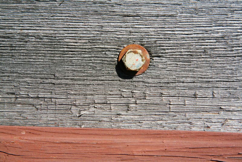 A background texture of a log cabin wall. Wood plank grain texture, wooden board striped old fiber. Wood Texture Background, Wooden Board Grains, Old Floor Striped Planks, Vintage White Timber or Grunge Table. Log cabin background ,The side of a log building. Old rich wood grain texture background with knots. Grunge rustic wood wall, vintage background. High details, hd quality. Natural brown barn wood wall. Wall texture background pattern. Wood planks, boards are old with a beautiful rustic look, style. A background texture of a log cabin wall. Wood plank grain texture, wooden board striped old fiber. Wood Texture Background, Wooden Board Grains, Old Floor Striped Planks, Vintage White Timber or Grunge Table. Log cabin background ,The side of a log building. Old rich wood grain texture background with knots. Grunge rustic wood wall, vintage background. High details, hd quality. Natural brown barn wood wall. Wall texture background pattern. Wood planks, boards are old with a beautiful rustic look, style.