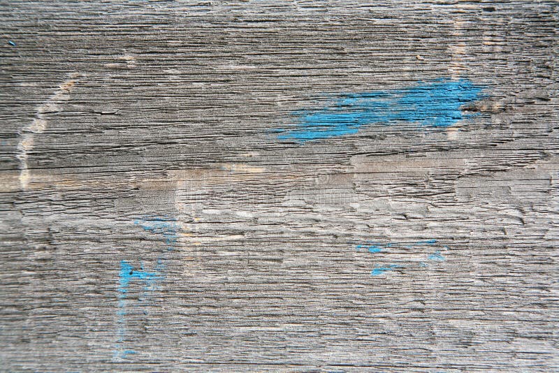 A background texture of a log cabin wall. Wood plank grain texture, wooden board striped old fiber. Wood Texture Background, Wooden Board Grains, Old Floor Striped Planks, Vintage White Timber or Grunge Table. Log cabin background ,The side of a log building. Old rich wood grain texture background with knots. Grunge rustic wood wall, vintage background. High details, hd quality. Natural brown barn wood wall. Wall texture background pattern. Wood planks, boards are old with a beautiful rustic look, style. A background texture of a log cabin wall. Wood plank grain texture, wooden board striped old fiber. Wood Texture Background, Wooden Board Grains, Old Floor Striped Planks, Vintage White Timber or Grunge Table. Log cabin background ,The side of a log building. Old rich wood grain texture background with knots. Grunge rustic wood wall, vintage background. High details, hd quality. Natural brown barn wood wall. Wall texture background pattern. Wood planks, boards are old with a beautiful rustic look, style.