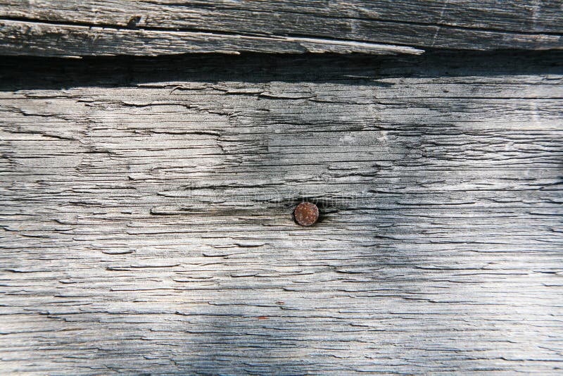 A background texture of a log cabin wall. Wood plank grain texture, wooden board striped old fiber. Wood Texture Background, Wooden Board Grains, Old Floor Striped Planks, Vintage White Timber or Grunge Table. Log cabin background ,The side of a log building. Old rich wood grain texture background with knots. Grunge rustic wood wall, vintage background. High details, hd quality. Natural brown barn wood wall. Wall texture background pattern. Wood planks, boards are old with a beautiful rustic look, style. A background texture of a log cabin wall. Wood plank grain texture, wooden board striped old fiber. Wood Texture Background, Wooden Board Grains, Old Floor Striped Planks, Vintage White Timber or Grunge Table. Log cabin background ,The side of a log building. Old rich wood grain texture background with knots. Grunge rustic wood wall, vintage background. High details, hd quality. Natural brown barn wood wall. Wall texture background pattern. Wood planks, boards are old with a beautiful rustic look, style.