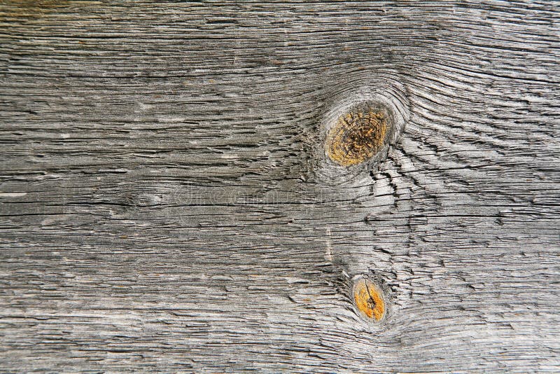 A background texture of a log cabin wall. Wood plank grain texture, wooden board striped old fiber. Wood Texture Background, Wooden Board Grains, Old Floor Striped Planks, Vintage White Timber or Grunge Table. Log cabin background ,The side of a log building. Old rich wood grain texture background with knots. Grunge rustic wood wall, vintage background. High details, hd quality. Natural brown barn wood wall. Wall texture background pattern. Wood planks, boards are old with a beautiful rustic look, style. A background texture of a log cabin wall. Wood plank grain texture, wooden board striped old fiber. Wood Texture Background, Wooden Board Grains, Old Floor Striped Planks, Vintage White Timber or Grunge Table. Log cabin background ,The side of a log building. Old rich wood grain texture background with knots. Grunge rustic wood wall, vintage background. High details, hd quality. Natural brown barn wood wall. Wall texture background pattern. Wood planks, boards are old with a beautiful rustic look, style.