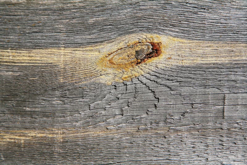 A background texture of a log cabin wall. Wood plank grain texture, wooden board striped old fiber. Wood Texture Background, Wooden Board Grains, Old Floor Striped Planks, Vintage White Timber or Grunge Table. Log cabin background ,The side of a log building. Old rich wood grain texture background with knots. Grunge rustic wood wall, vintage background. High details, hd quality. Natural brown barn wood wall. Wall texture background pattern. Wood planks, boards are old with a beautiful rustic look, style. A background texture of a log cabin wall. Wood plank grain texture, wooden board striped old fiber. Wood Texture Background, Wooden Board Grains, Old Floor Striped Planks, Vintage White Timber or Grunge Table. Log cabin background ,The side of a log building. Old rich wood grain texture background with knots. Grunge rustic wood wall, vintage background. High details, hd quality. Natural brown barn wood wall. Wall texture background pattern. Wood planks, boards are old with a beautiful rustic look, style.