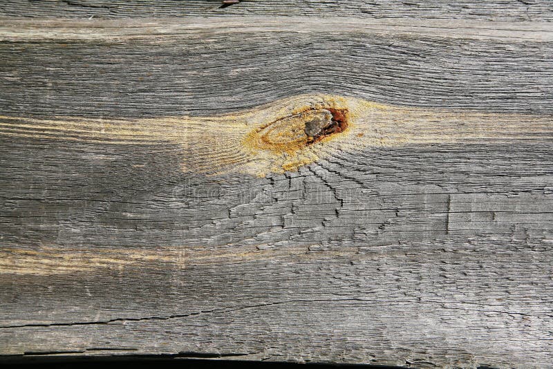 A background texture of a log cabin wall. Wood plank grain texture, wooden board striped old fiber. Wood Texture Background, Wooden Board Grains, Old Floor Striped Planks, Vintage White Timber or Grunge Table. Log cabin background ,The side of a log building. Old rich wood grain texture background with knots. Grunge rustic wood wall, vintage background. High details, hd quality. Natural brown barn wood wall. Wall texture background pattern. Wood planks, boards are old with a beautiful rustic look, style. A background texture of a log cabin wall. Wood plank grain texture, wooden board striped old fiber. Wood Texture Background, Wooden Board Grains, Old Floor Striped Planks, Vintage White Timber or Grunge Table. Log cabin background ,The side of a log building. Old rich wood grain texture background with knots. Grunge rustic wood wall, vintage background. High details, hd quality. Natural brown barn wood wall. Wall texture background pattern. Wood planks, boards are old with a beautiful rustic look, style.