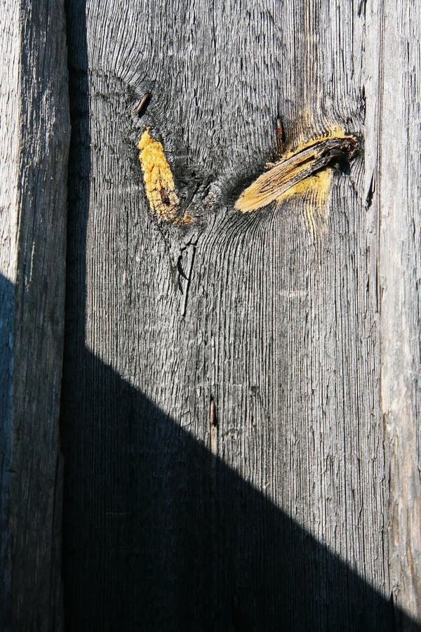 A background texture of a log cabin wall. Wood plank grain texture, wooden board striped old fiber. Wood Texture Background, Wooden Board Grains, Old Floor Striped Planks, Vintage White Timber or Grunge Table. Log cabin background ,The side of a log building. Old rich wood grain texture background with knots. Grunge rustic wood wall, vintage background. High details, hd quality. Natural brown barn wood wall. Wall texture background pattern. Wood planks, boards are old with a beautiful rustic look, style. A background texture of a log cabin wall. Wood plank grain texture, wooden board striped old fiber. Wood Texture Background, Wooden Board Grains, Old Floor Striped Planks, Vintage White Timber or Grunge Table. Log cabin background ,The side of a log building. Old rich wood grain texture background with knots. Grunge rustic wood wall, vintage background. High details, hd quality. Natural brown barn wood wall. Wall texture background pattern. Wood planks, boards are old with a beautiful rustic look, style.