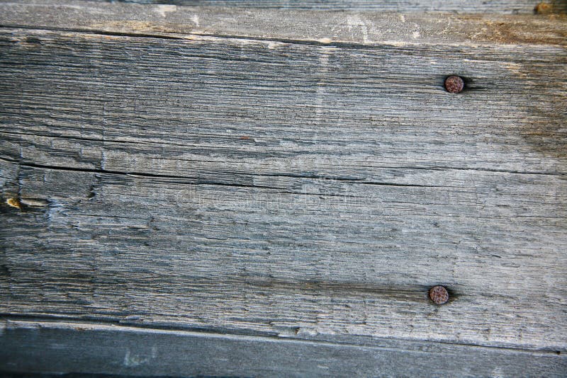 A background texture of a log cabin wall. Wood plank grain texture, wooden board striped old fiber. Wood Texture Background, Wooden Board Grains, Old Floor Striped Planks, Vintage White Timber or Grunge Table. Log cabin background ,The side of a log building. Old rich wood grain texture background with knots. Grunge rustic wood wall, vintage background. High details, hd quality. Natural brown barn wood wall. Wall texture background pattern. Wood planks, boards are old with a beautiful rustic look, style. A background texture of a log cabin wall. Wood plank grain texture, wooden board striped old fiber. Wood Texture Background, Wooden Board Grains, Old Floor Striped Planks, Vintage White Timber or Grunge Table. Log cabin background ,The side of a log building. Old rich wood grain texture background with knots. Grunge rustic wood wall, vintage background. High details, hd quality. Natural brown barn wood wall. Wall texture background pattern. Wood planks, boards are old with a beautiful rustic look, style.