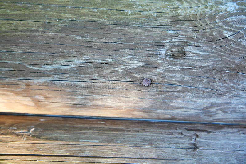 A background texture of a log cabin wall. Wood plank grain texture, wooden board striped old fiber. Wood Texture Background, Wooden Board Grains, Old Floor Striped Planks, Vintage White Timber or Grunge Table. Log cabin background ,The side of a log building. Old rich wood grain texture background with knots. Grunge rustic wood wall, vintage background. High details, hd quality. Natural brown barn wood wall. Wall texture background pattern. Wood planks, boards are old with a beautiful rustic look, style. A background texture of a log cabin wall. Wood plank grain texture, wooden board striped old fiber. Wood Texture Background, Wooden Board Grains, Old Floor Striped Planks, Vintage White Timber or Grunge Table. Log cabin background ,The side of a log building. Old rich wood grain texture background with knots. Grunge rustic wood wall, vintage background. High details, hd quality. Natural brown barn wood wall. Wall texture background pattern. Wood planks, boards are old with a beautiful rustic look, style.