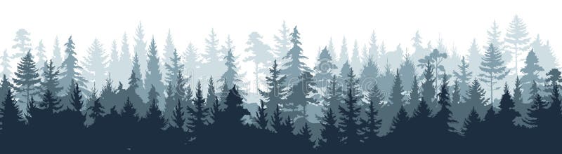 Fondo de madera del árbol de la silueta del bosque del pino, paisaje salvaje del arbolado de la naturaleza Escena brumosa de nieb