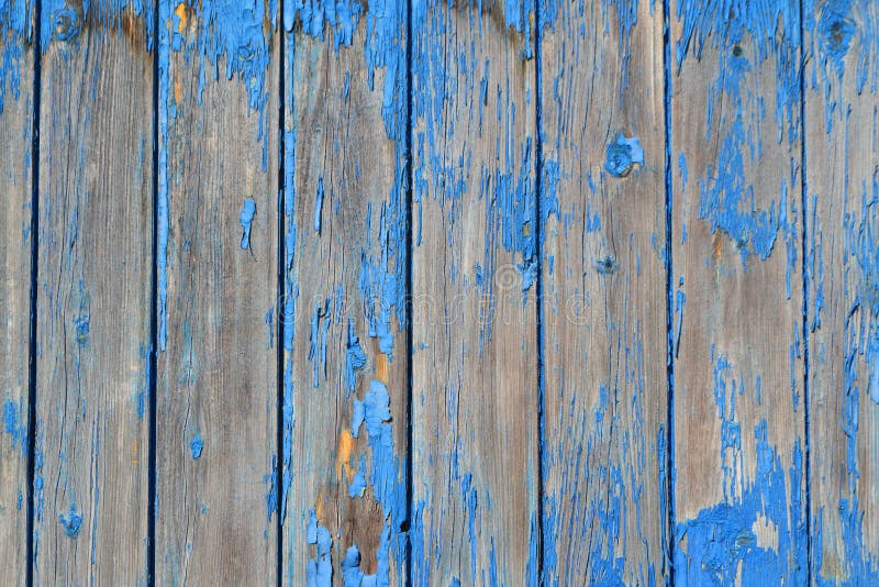 Fondo de madera de la textura, tablones de madera azules Modelo de madera de la pared del Grunge Fondo superficial de los tablone foto de archivo Fondo de madera de la textura, tablones de madera azules Modelo de madera de la pared del Grunge Fondo superficial de los tablone foto de archivo