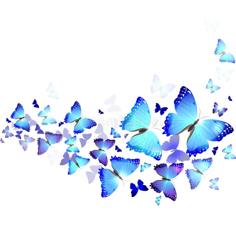 Fondo de mariposas azules ilustración del vector. Ilustración de acortar -  40461553