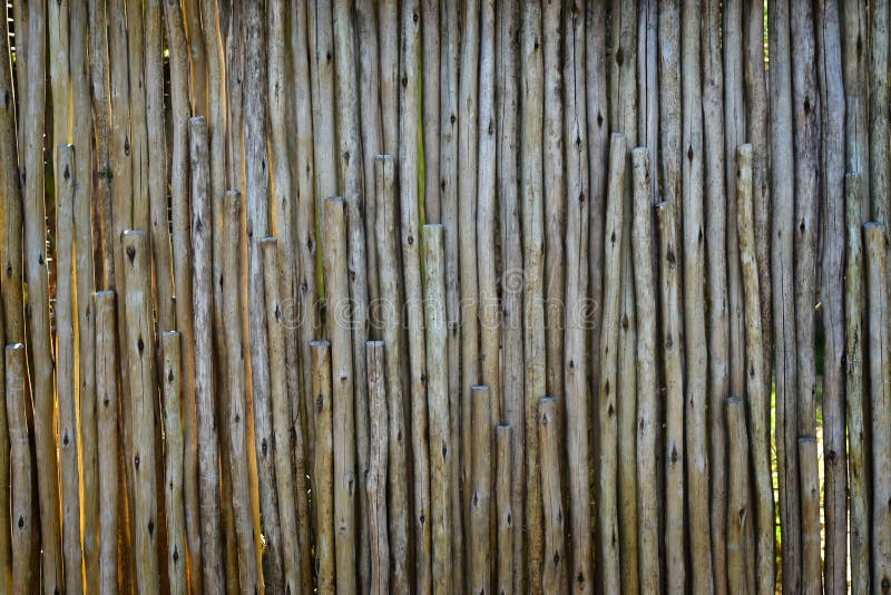 Brazado De Palos De Madera Con Corteza Como Fondo Rústico Fotos