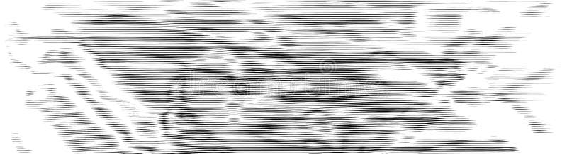  Fondo De Pantalla Líneas Distorsionadas. Patrones De Moire Líneas Onduladas Ilusión óptica Fondos Abstractos. Ilustración del Vector