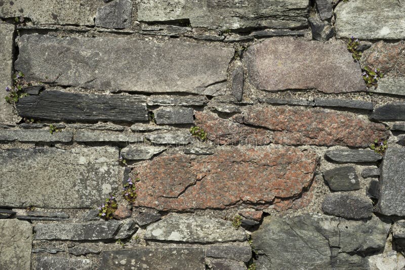 Piedra Gris Apilada Y Mortared Y Pared Plana De La Roca Imagen de