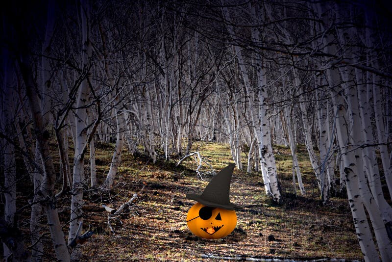 Fondo de Víspera de Todos los Santos - calabazas y árboles imagen de archivo libre de regalías Fondo de Víspera de Todos los Santos - calabazas y árboles imagen de archivo libre de regalías