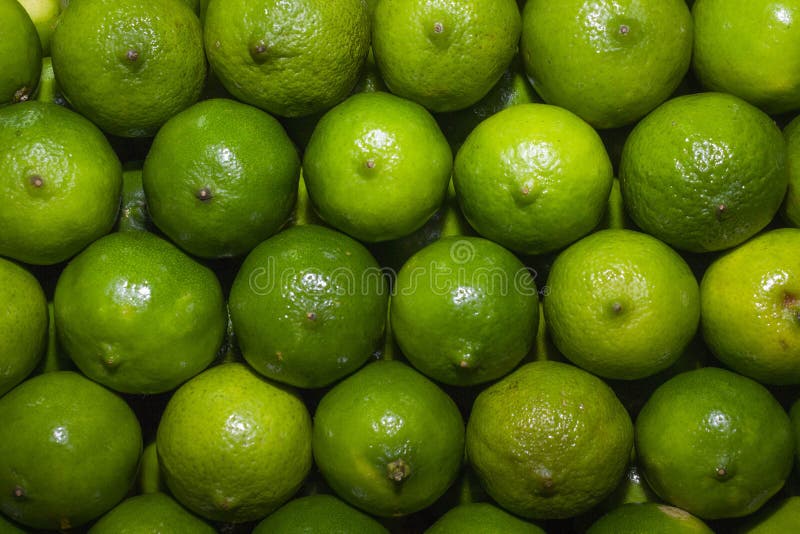 Fondo dei limoni succosi immagine stock libera da diritti Fondo dei limoni succosi immagine stock libera da diritti