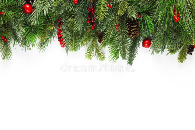 Fondo dei rami dell'albero di Natale