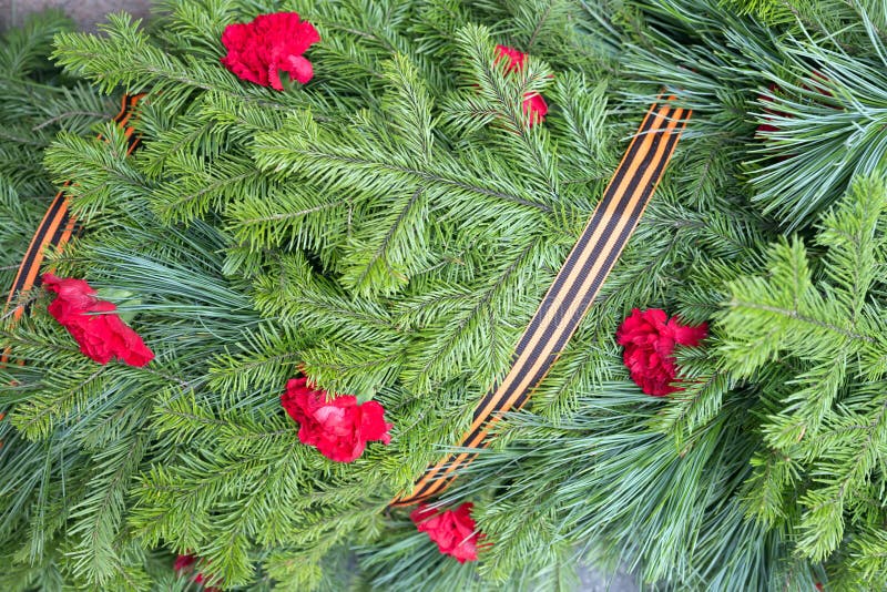 Fondo dei rami della conifera con i fiori dei garofani e del nastro di St George fotografia stock libera da diritti Fondo dei rami della conifera con i fiori dei garofani e del nastro di St George fotografia stock libera da diritti