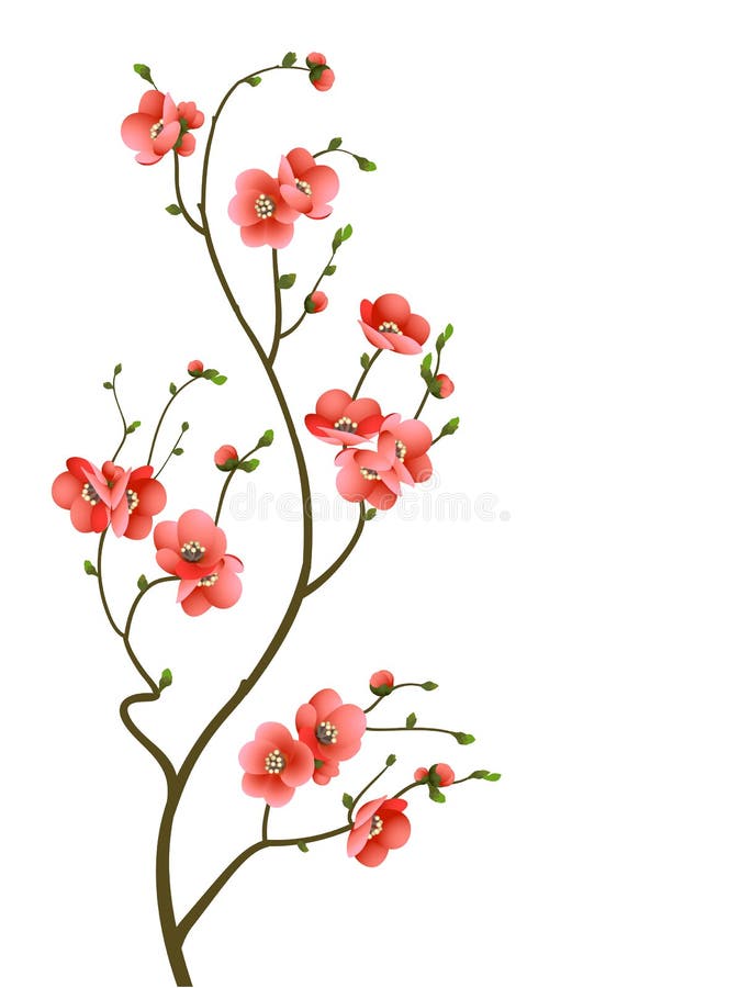 Fondo del extracto de la ramificación del flor de cereza