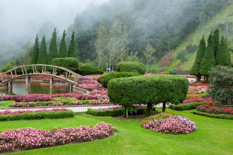 Fondo del jardín de flores y de la niebla imagenes de archivo Fondo del jardín de flores y de la niebla imagenes de archivo