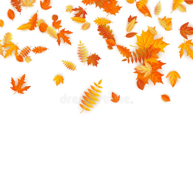 Fondo del otoño con el arce, el roble y otros de oro hojas EPS 10 libre illustration Fondo del otoño con el arce, el roble y otros de oro hojas EPS 10 libre illustration