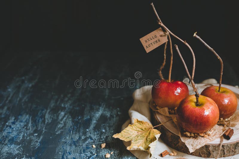 Fondo del otoño con el espacio de la copia Manzanas de caramelo tradicionales con los palillos del brunch imágenes de archivo libres de regalías Fondo del otoño con el espacio de la copia Manzanas de caramelo tradicionales con los palillos del brunch imágenes de archivo libres de regalías