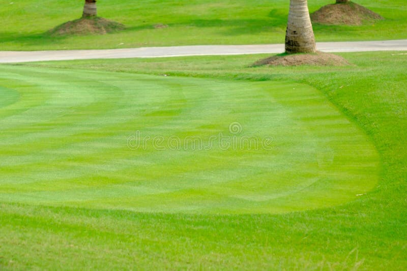 Fondo del putting green en campo de golf imagen de archivo libre de regalías Fondo del putting green en campo de golf imagen de archivo libre de regalías