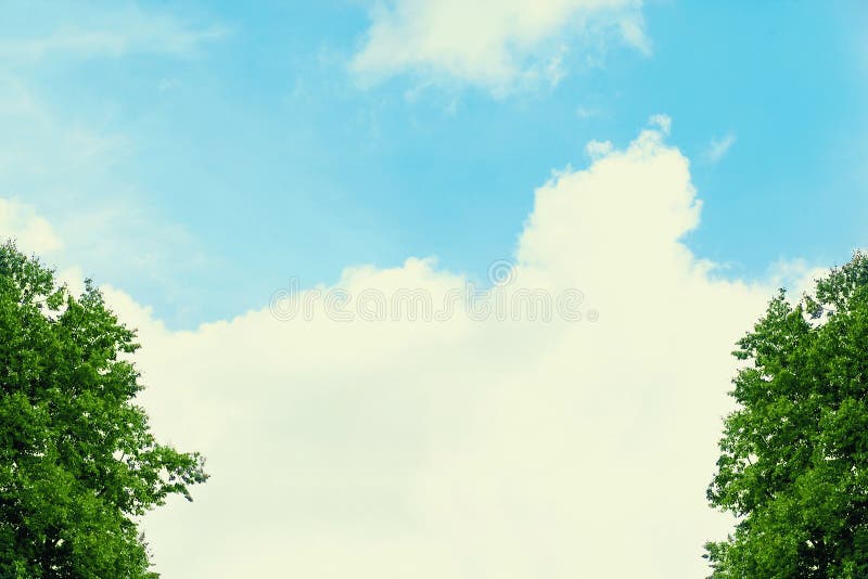 Fondo del verano, cielo azul con las nubes y árboles foto de archivo libre de regalías Fondo del verano, cielo azul con las nubes y árboles foto de archivo libre de regalías