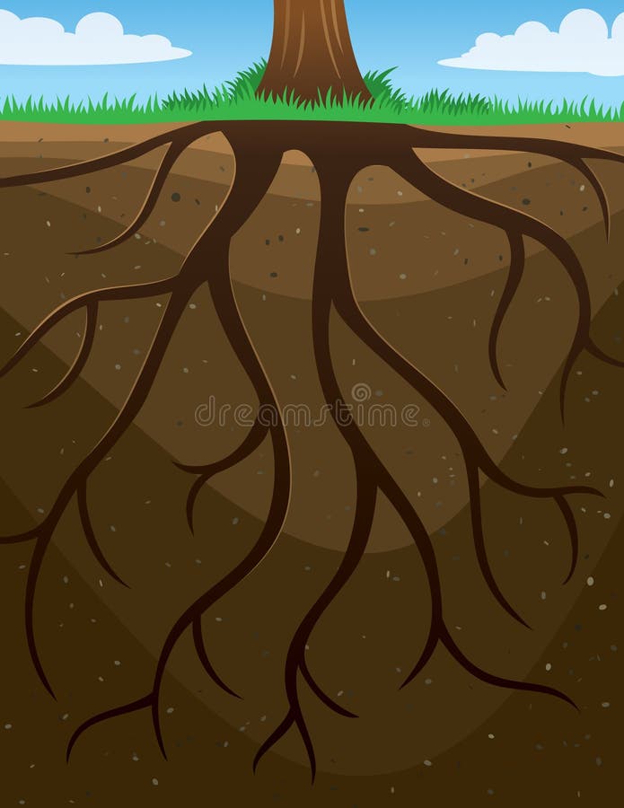 Fondo dell'albero delle radici