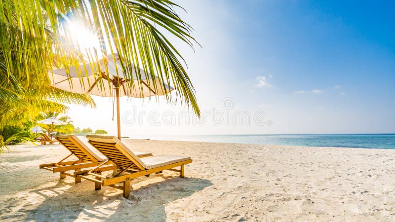 Fondo della destinazione di viaggio di estate Scena della spiaggia di estate, ombrello di sole dei letti del sole e palme