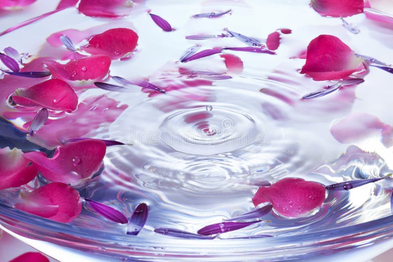 Fondo della goccia di acqua dei petali del fiore