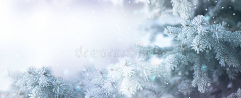 Fondo della neve di festa dell'albero di inverno
