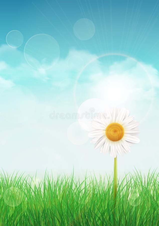 Fondo della primavera con erba verde ed il cielo illustrazione vettoriale Fondo della primavera con erba verde ed il cielo illustrazione vettoriale