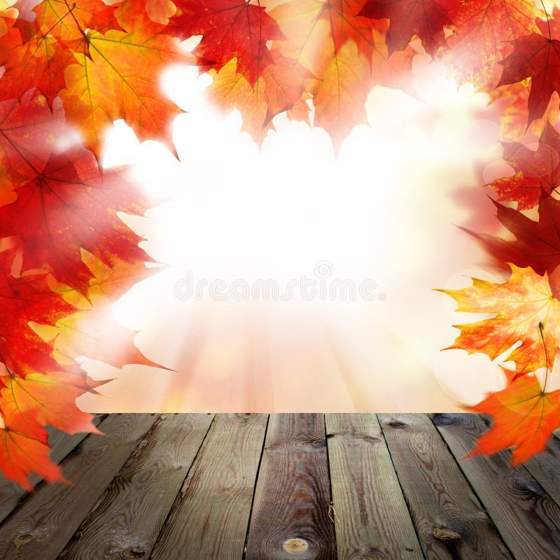 Fondo di caduta con Autumn Maple Leaves rosso fotografie stock libere da diritti Fondo di caduta con Autumn Maple Leaves rosso fotografie stock libere da diritti