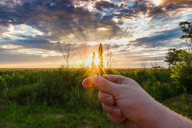Fondo di concetto di caccia, munizioni contro il sole fotografie stock Fondo di concetto di caccia, munizioni contro il sole fotografie stock