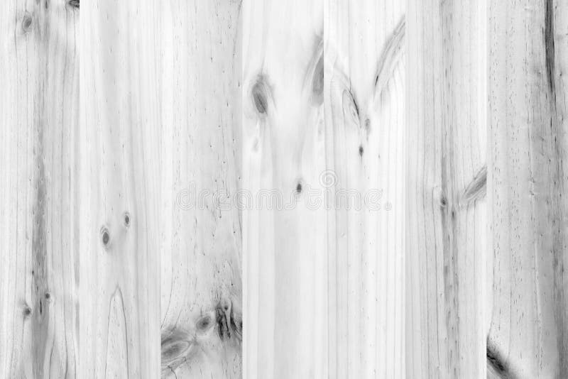 Fondo di legno bianco di struttura della plancia del pino immagini stock Fondo di legno bianco di struttura della plancia del pino immagini stock