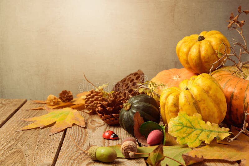 Fondo di stagione di autunno con le foglie e la zucca di caduta sulla tavola di legno immagine stock libera da diritti Fondo di stagione di autunno con le foglie e la zucca di caduta sulla tavola di legno immagine stock libera da diritti
