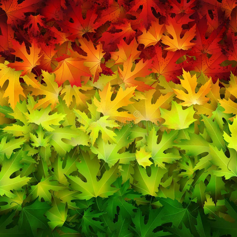 Fondo di vettore di autunno con le foglie variopinte royalty illustrazione gratis