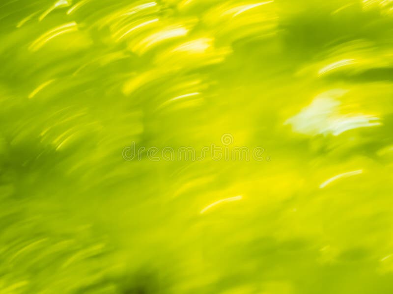 Fondo dinámico del bokeh del verano fotos de archivo Fondo dinámico del bokeh del verano fotos de archivo
