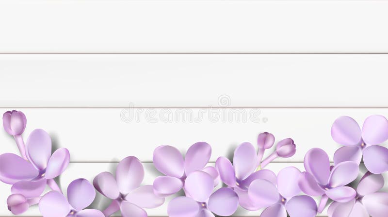 Fondo En Colores Pastel Con Las Flores De La Lila Ilustración del Vector -  Ilustración de macro, horizontal: 91555683